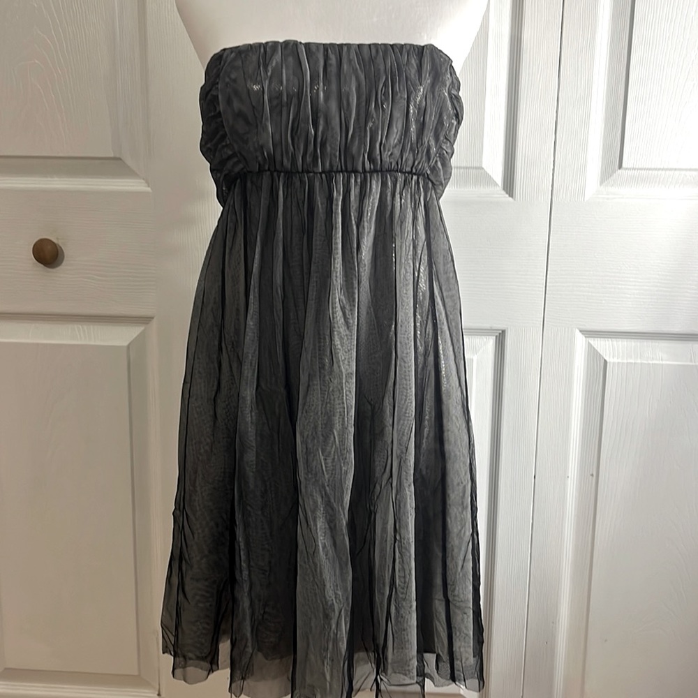 Silver dress with black over lay